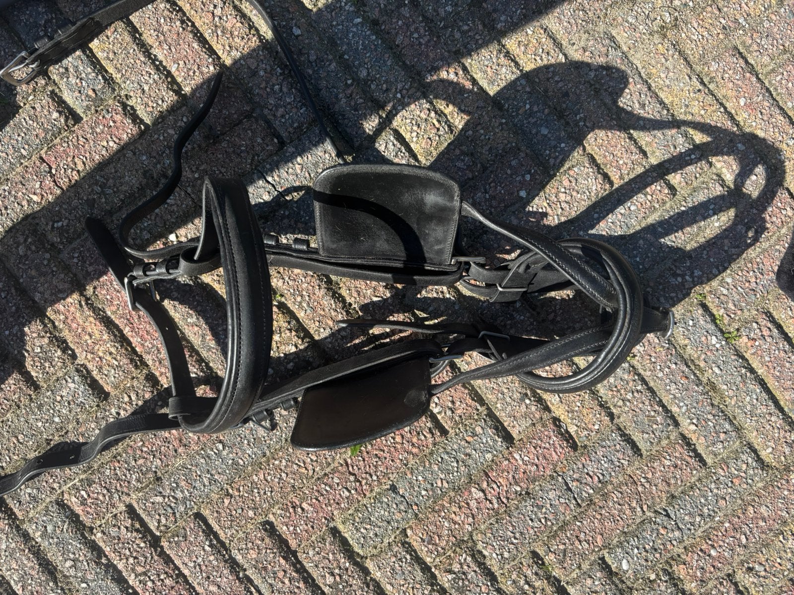 Men hoofdstel maat full, Dieren en Toebehoren, Ophalen, Zo goed als nieuw, Hoofdstel, Full