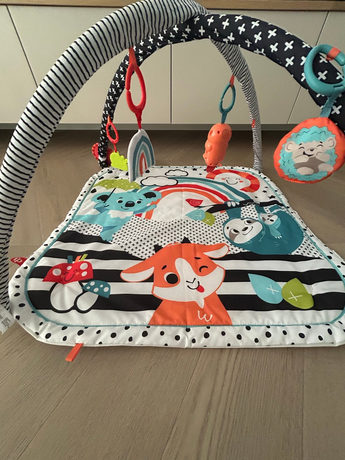 Fisher-Price Speelkleed met Babygym - Zo goed als nieuw, Ophalen, Zo goed als nieuw, Speelkleed, Met geluid