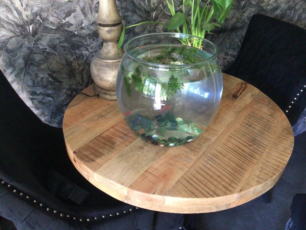 Vissenkom gemaakt van PET xxl met alles erop en eraan, Dieren en Toebehoren, Ophalen, Inclusief planten, Nieuw, Gevuld zoetwateraquarium