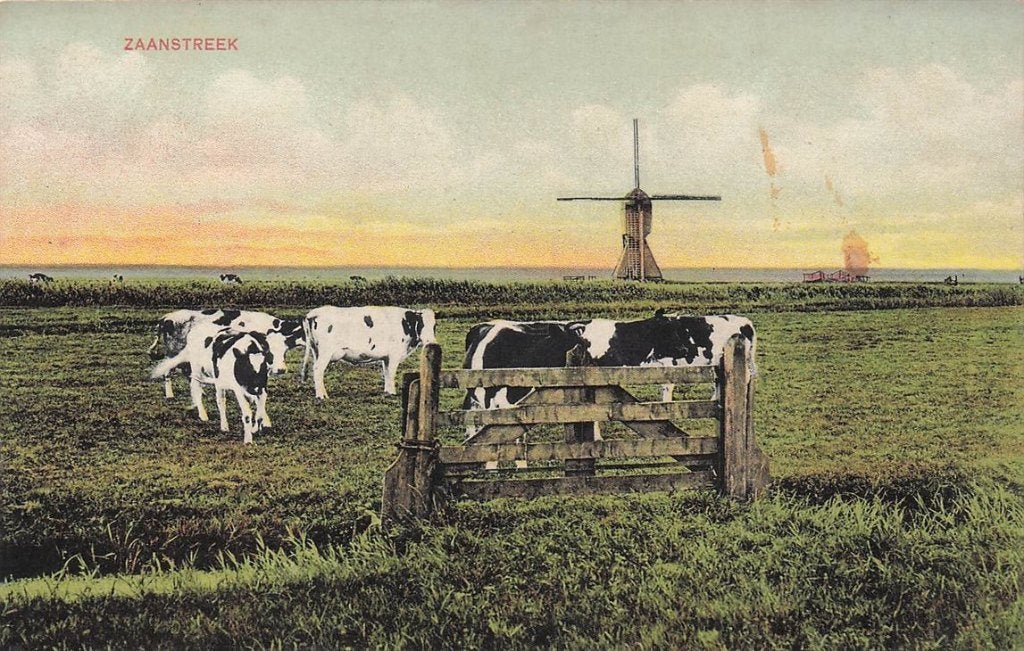 702-451-037 Zaanstreek, Verzenden, Voor 1920, Noord-Holland