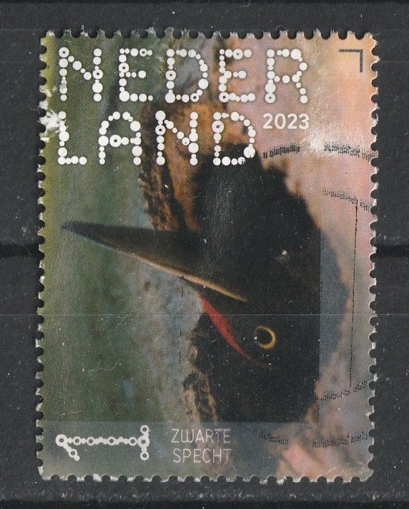 169 N beleef de natuur 2023 Zwarte specht, Verzenden, Na 1940, Gestempeld