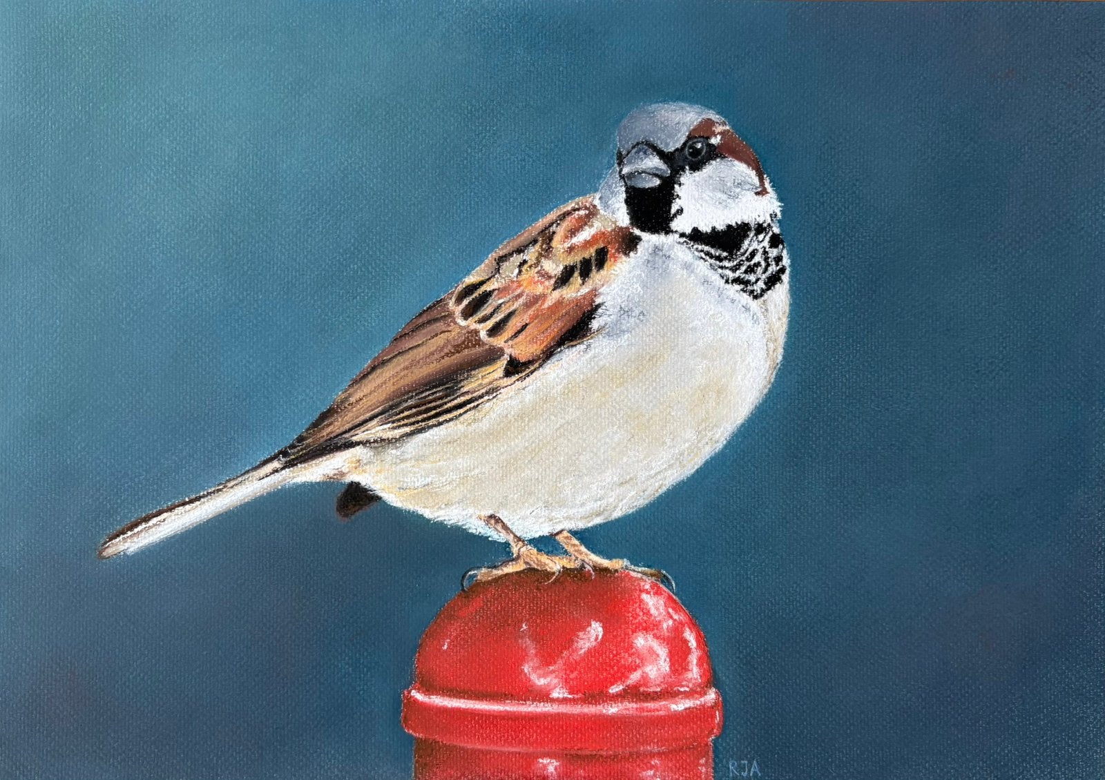 Schilderij mus (vogeltekening, soft pastel), Antiek en Kunst, Ophalen of Verzenden