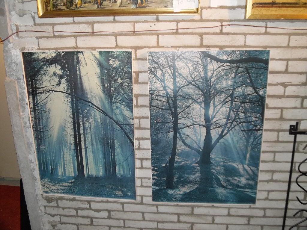 Schilderij (foto) BOS COMBI, Ophalen, Stilleven