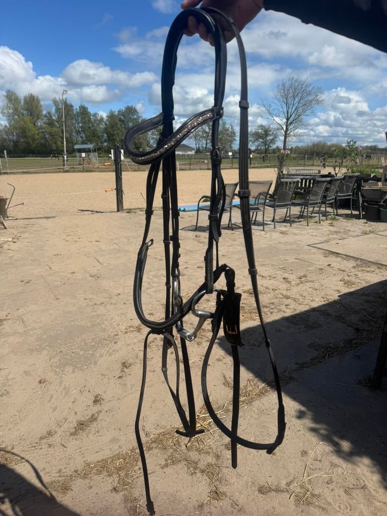 QHP hoofdstel full, Dieren en Toebehoren, Paarden en Pony's | Hoofdstellen en Tuigage, Ophalen of Verzenden, Zo goed als nieuw