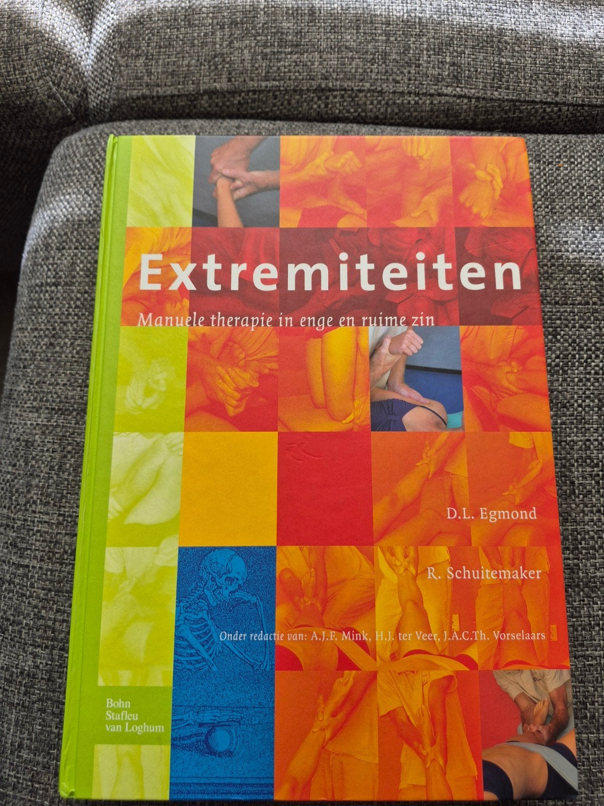 Extremiteiten: Manuele therapie in enge en ruime zin, Zo goed als nieuw, D.L. Egmond, R. Schuitemaker, Beta, HBO