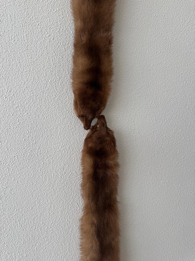 Vintage nerts bontsjaal Stola, Maat 42/44 (L), Ophalen of Verzenden, Sjaal, Onbekend