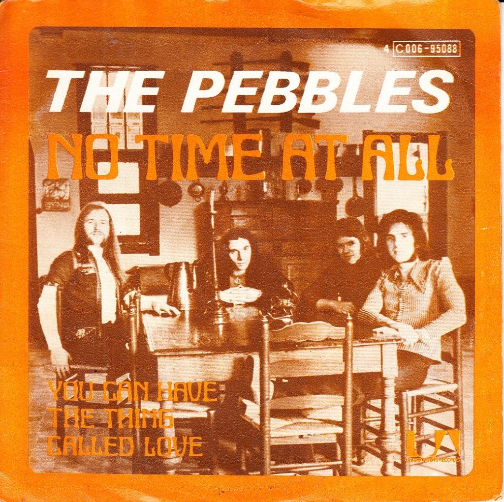 the pebbles - no time at all  (1973 / rock), Fotohoes, 7 inch, Single, Ophalen of Verzenden