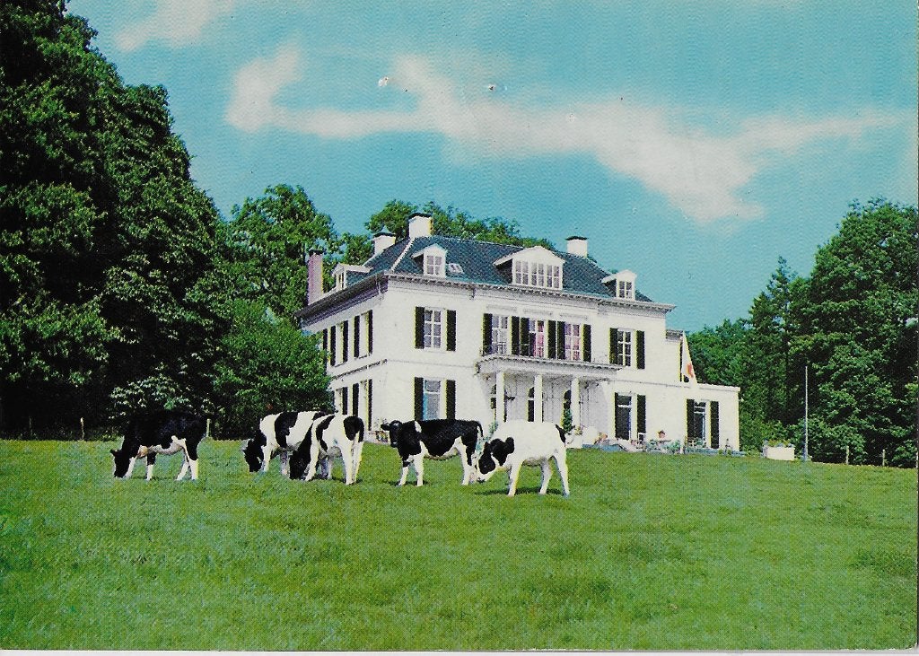 De steeg vakantiehuis de valkenberg ansichtkaart (254 ), Ophalen of Verzenden, 1960 tot 1980, Gelopen, Gelderland