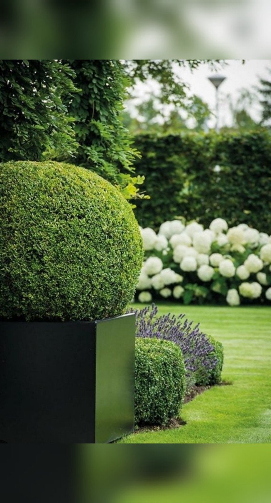 2 sprayflacons: cleaner en protector voor polyester bloembak, Tuin en Terras, Bloembakken en Plantenbakken, Ophalen, Kunststof