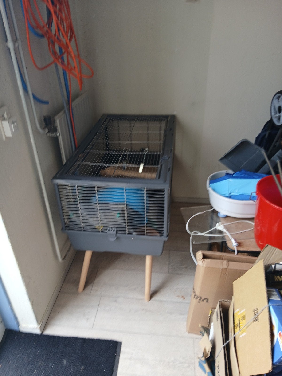 cavia konijnen kooi op pootjes, Kooi, Zo goed als nieuw, 75 tot 110 cm, Cavia