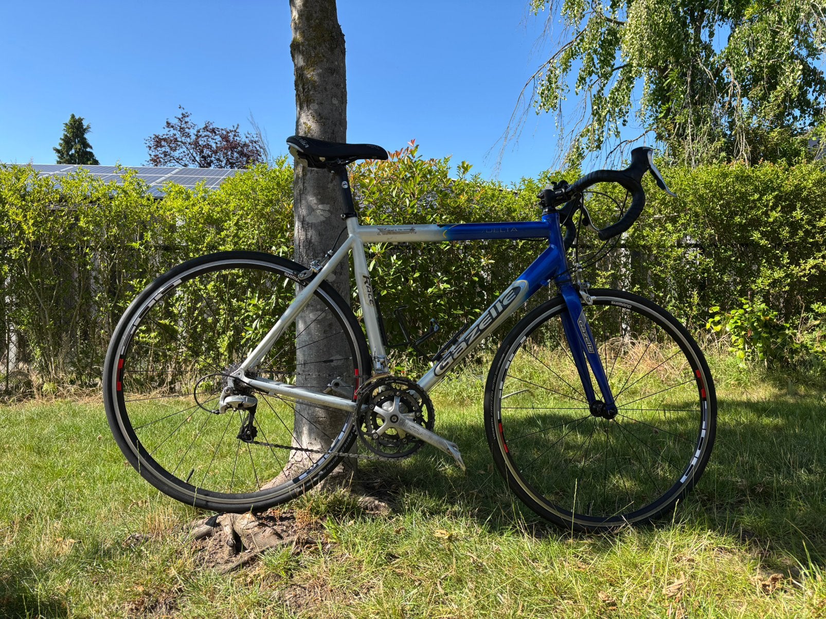 Racefiets Gazelle 56 shimano tiagra, Ophalen, Gebruikt, Aluminium, Meer dan 20 versnellingen