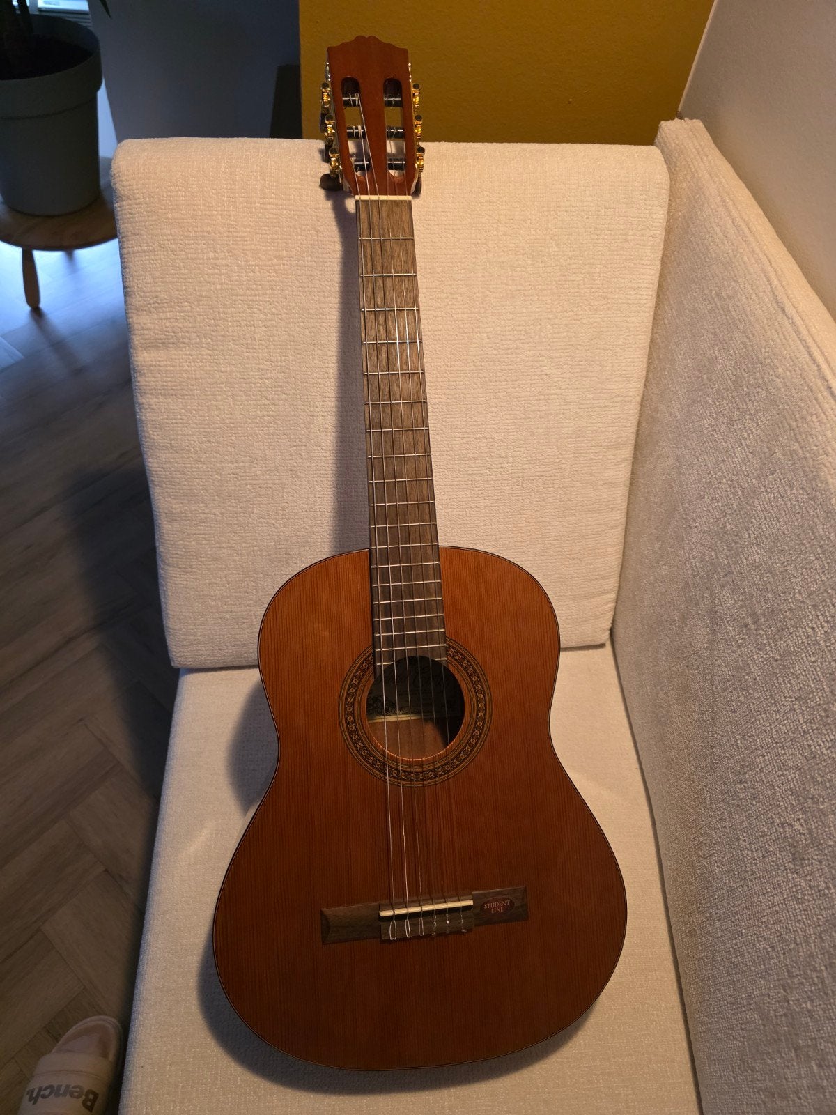 Salvador Cortez CC-10-JR Klassieke Gitaar (Student Line), Muziek en Instrumenten, Ophalen, Zo goed als nieuw, Klassieke of Spaanse gitaar