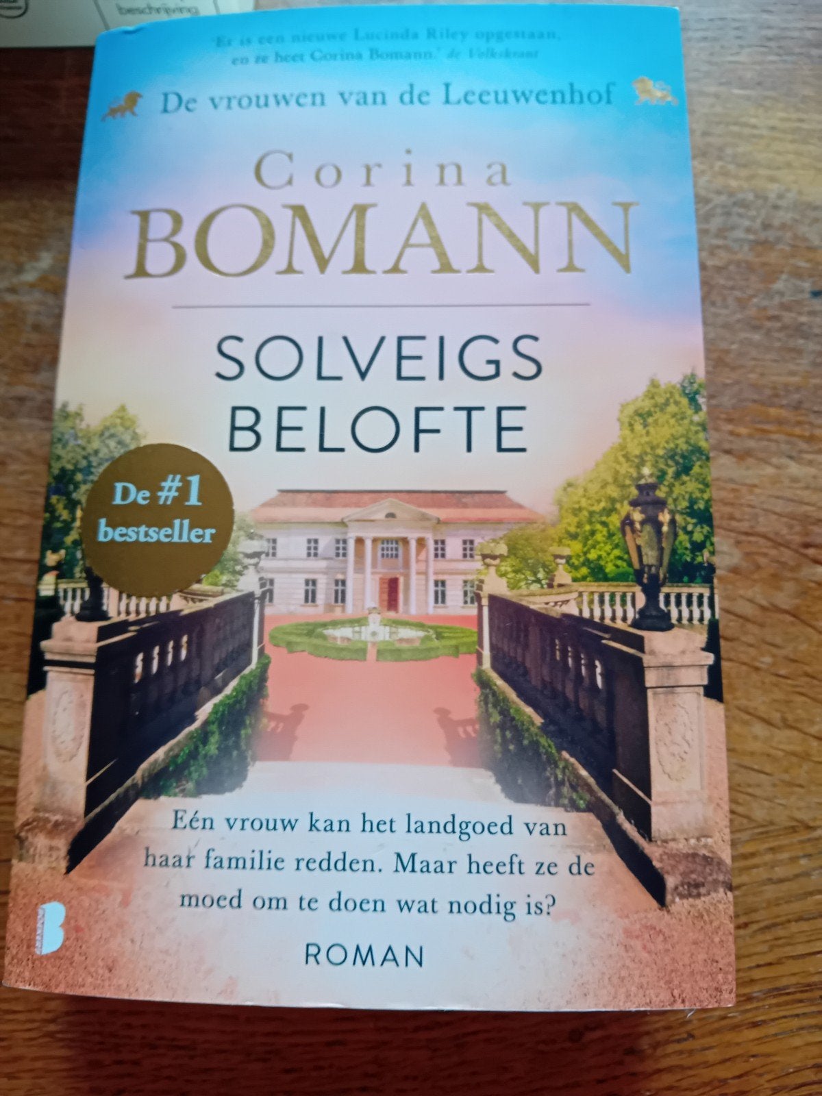 Solveigs Belofte - Corina Bomann (Roman), Ophalen of Verzenden, Zo goed als nieuw, Corina Bomann, Europa overig