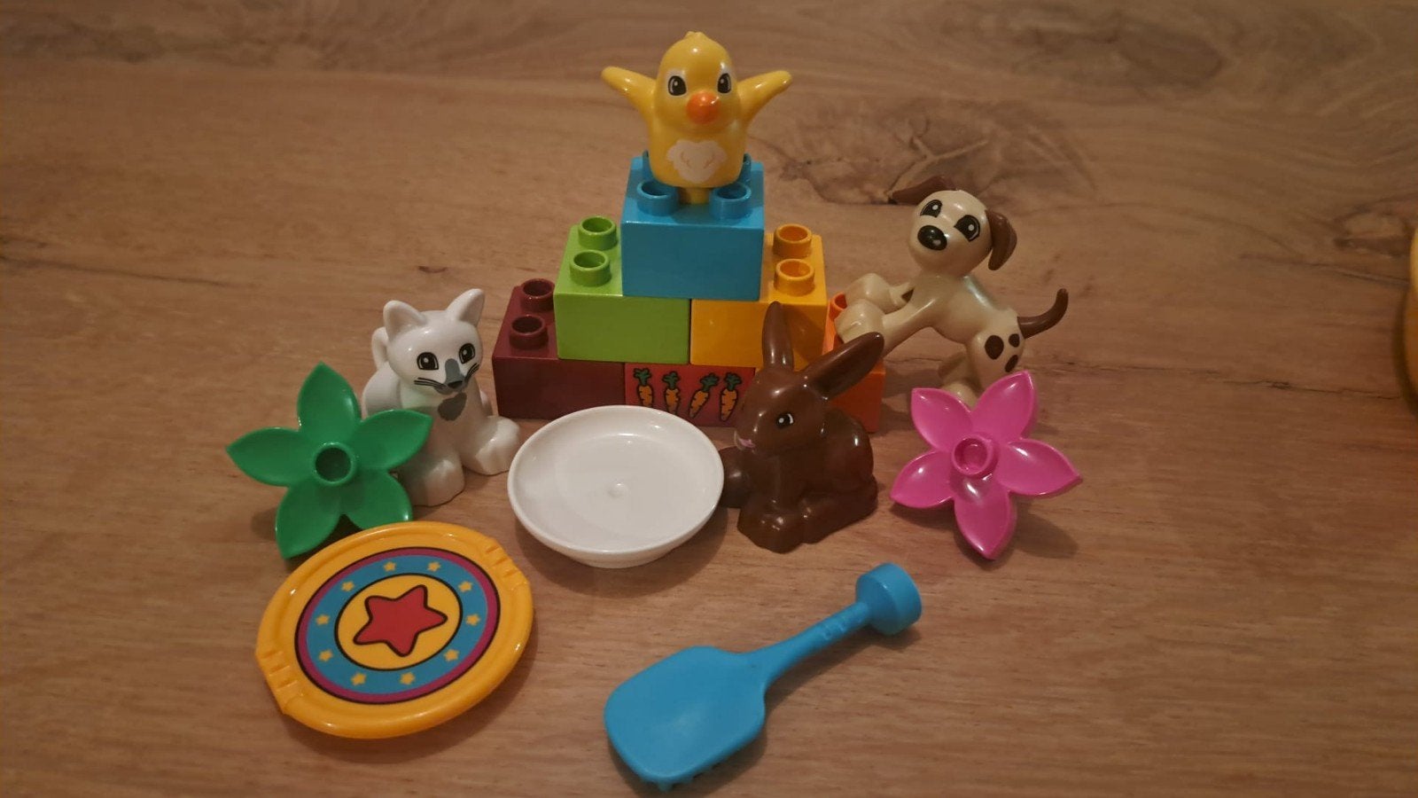 Lego Duplo Dieren en Blokken Set (10838), Ophalen of Verzenden, Gebruikt, Overige merken