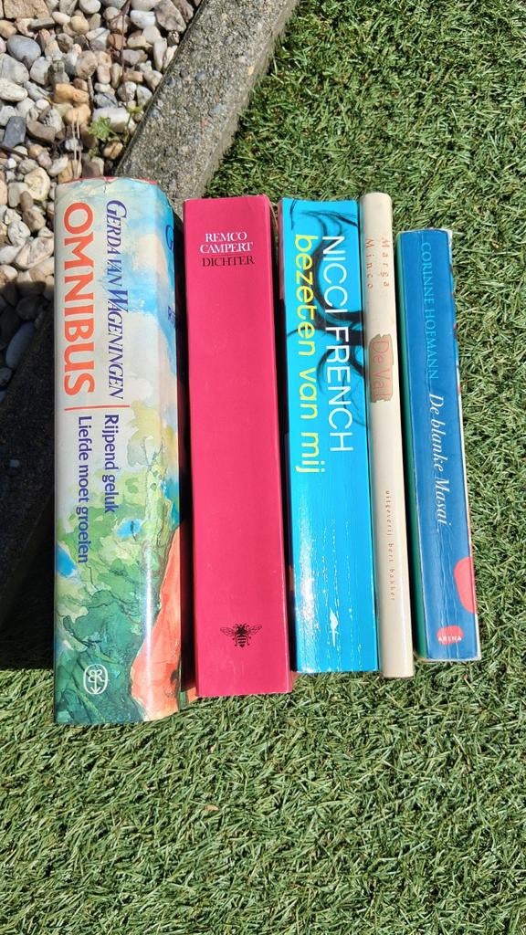 Boekenpakket: 5 romans van diverse auteurs, Ophalen of Verzenden, Gelezen, Diverse auteurs, Nederland