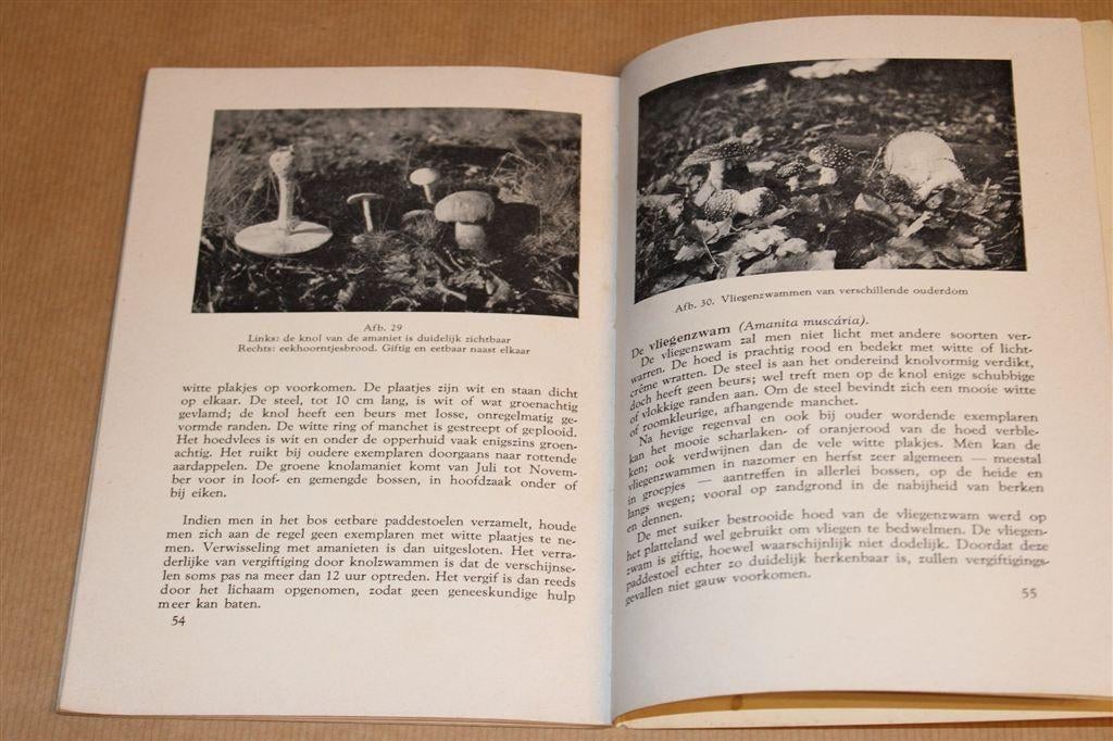Paddestoelen [1955] — Eetbare & Gevaarlijk Giftige Soorten, Ophalen of Verzenden, Gelezen, Vogels
