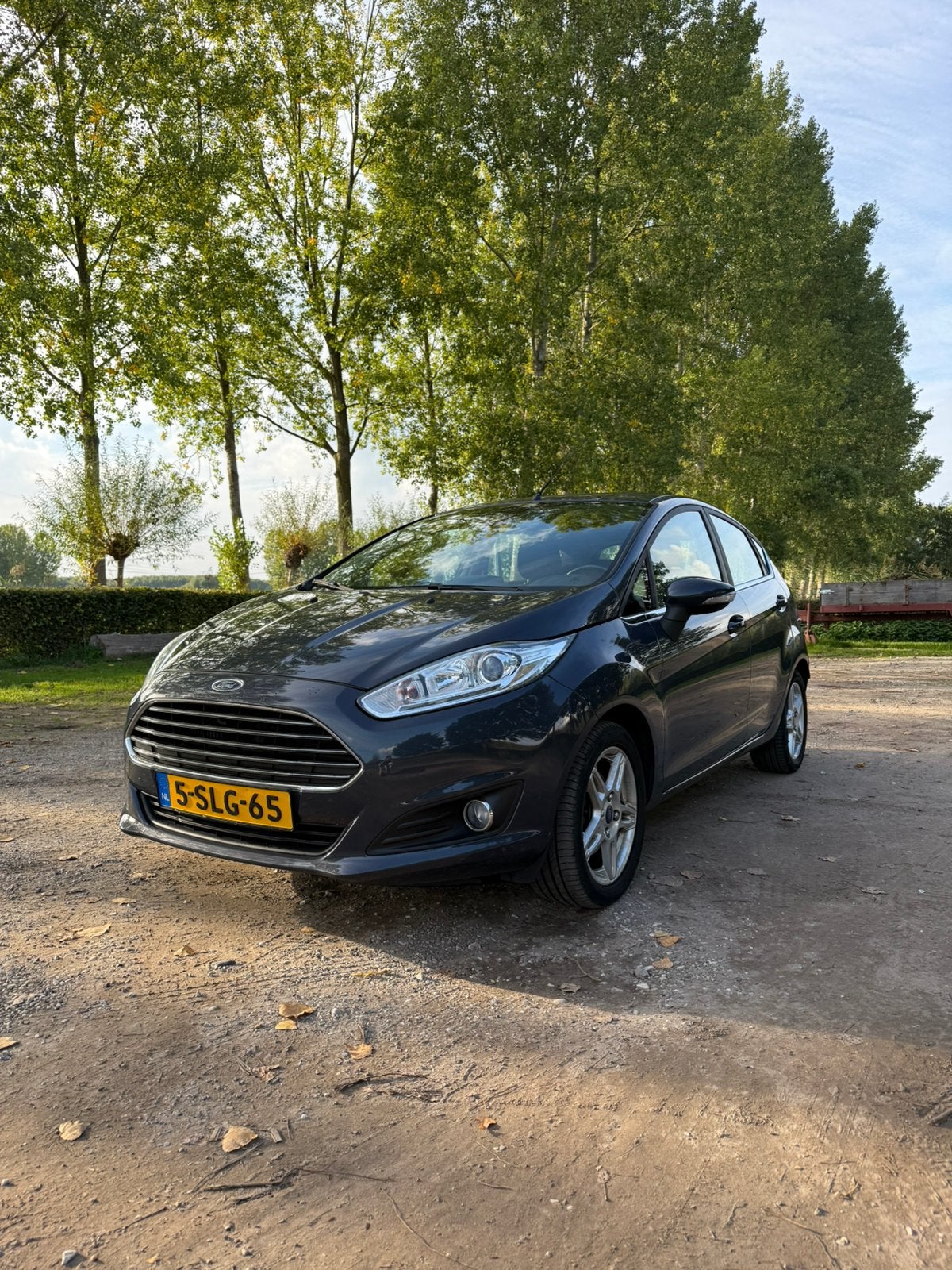 Ford Fiësta 1.0 ecoboost 74KW/101PK 5D Powershift 2013 Grijs, Auto's, 40 €/maand, 100 pk, Origineel Nederlands, Bedrijf