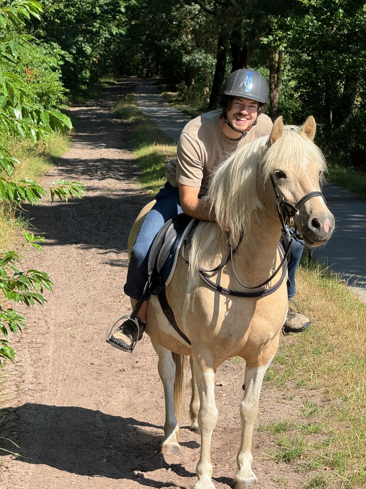 Lieve ijslander merrie te koop, Merrie