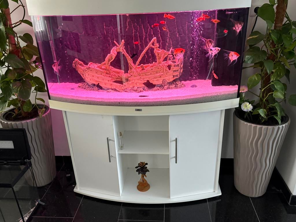 Juwel vision 260, Dieren en Toebehoren, Vissen | Aquaria en Toebehoren, Ophalen of Verzenden, Zo goed als nieuw, Leeg aquarium