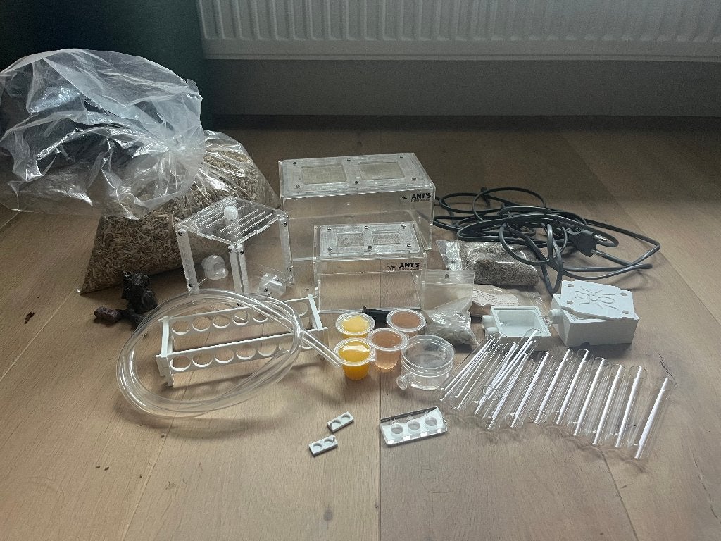 Complete mierenhoudsets, Mieren