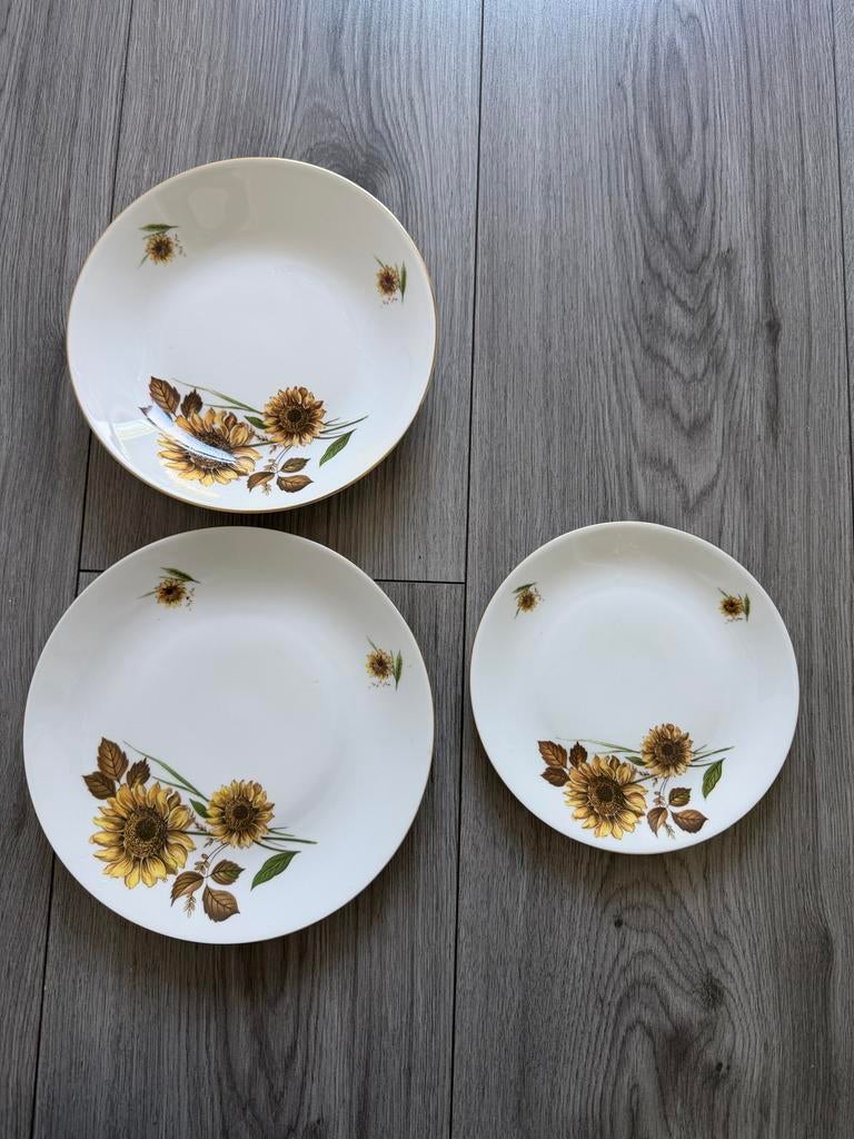 Vintage borden met zonnebloem design 18 delig, Huis en Inrichting, Keuken | Servies, Gebruikt, Ophalen of Verzenden, Bord(en)