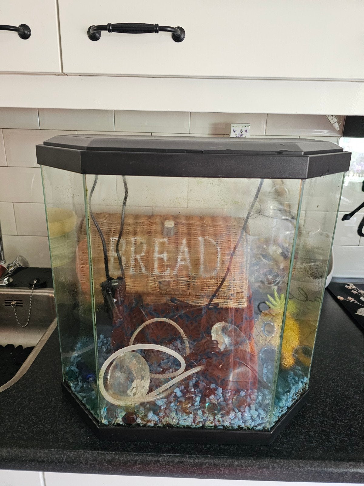 Leuke 30 liter bak  met led verlichting, Ophalen, Zo goed als nieuw, Leeg aquarium