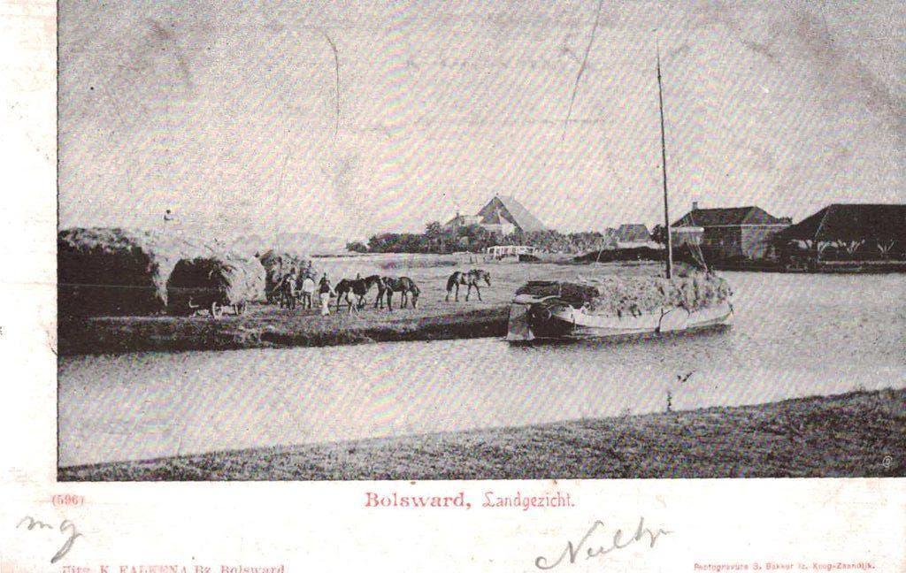 BOLSWARD Landgezicht . Blauwe achterkant . Paarden, Ophalen of Verzenden, Voor 1920, Gelopen, Friesland