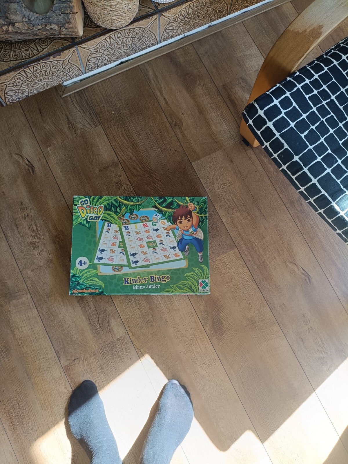 Go Diego Go! Kinder Bingo - Compleet, Vijf spelers of meer, Ophalen, Gebruikt, Nickelodeon