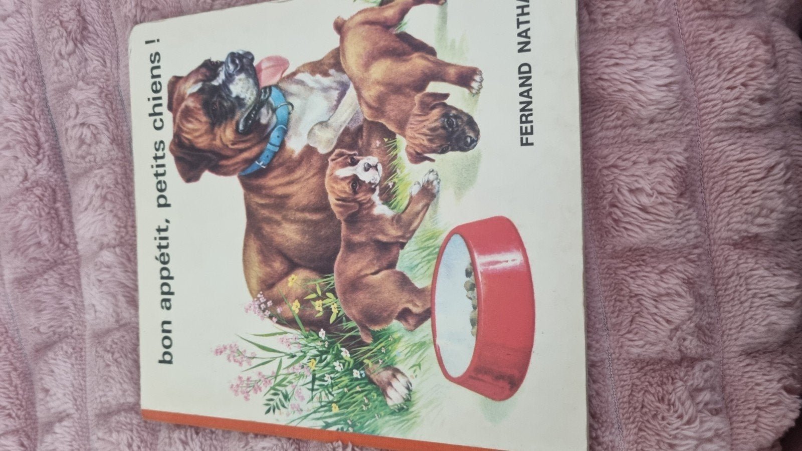 Vintage Franse Kartonnen Boekje - Dierenverhalen, Verzenden, Gelezen, Fernand Nathan, 2 tot 3 jaar