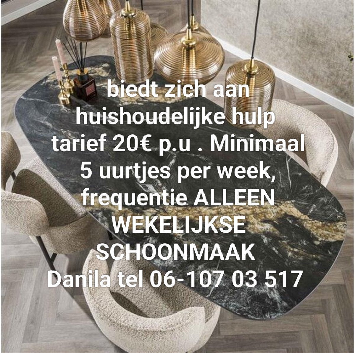 Aangeboden Hulp in de huishouding R'dam, Vacatures, Vacatures | Schoonmaak en Facilitaire diensten, Vanaf 10 jaar, Overige vormen