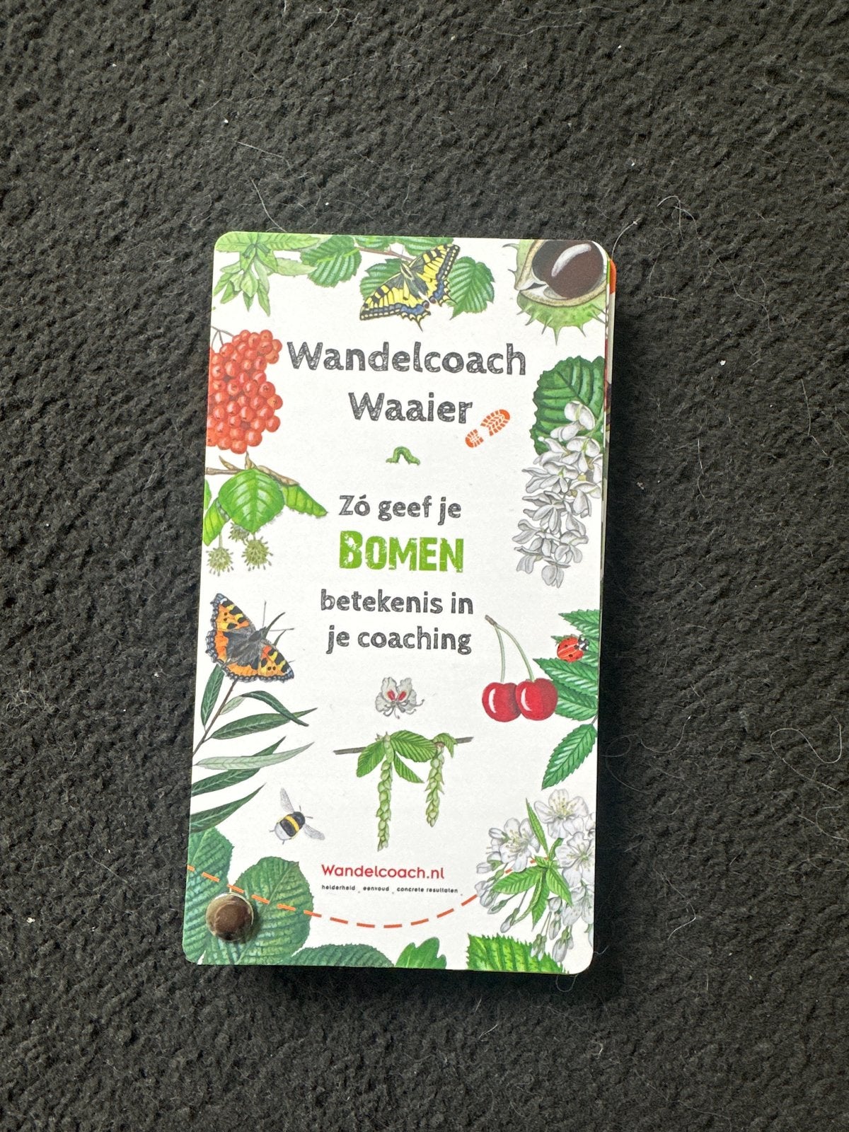 Wandelcoach Waaier: Bomen betekenis in je coaching, Ophalen of Verzenden, Nieuw, Niet van toepassing