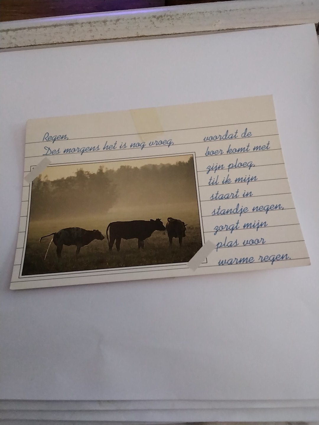 Oude Ansichtkaart KOEIEN  met Gedicht - Van Leers '94, Ophalen of Verzenden, 1980 tot heden