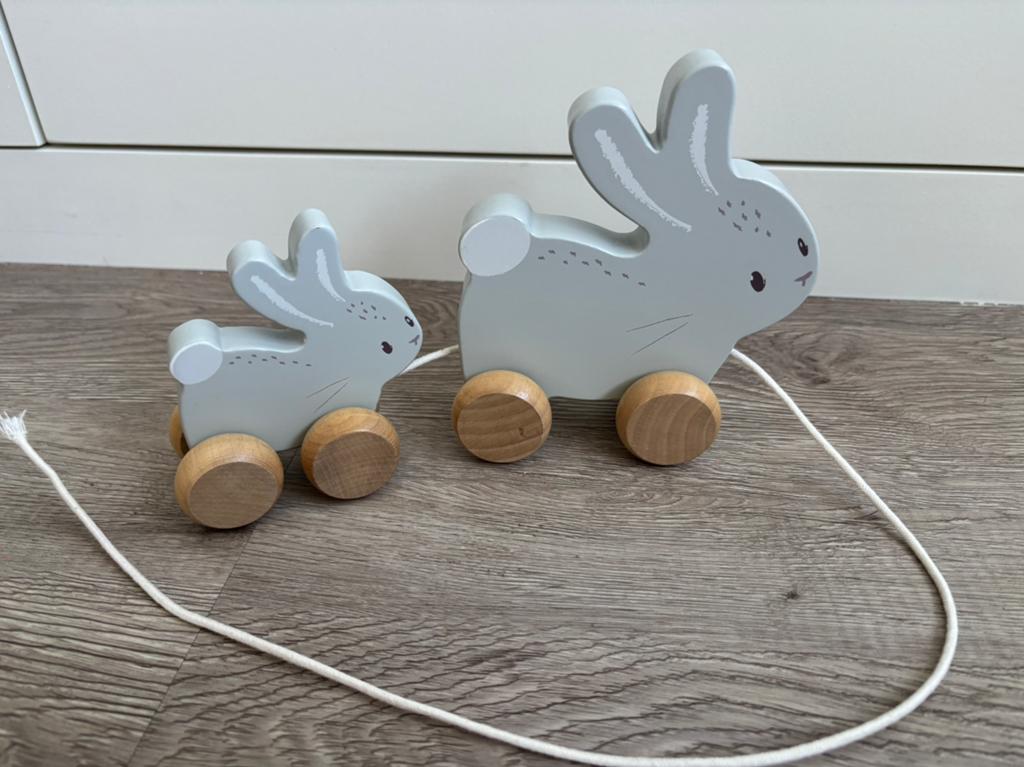 Little Dutch Trekdier konijnen baby bunny, Ophalen of Verzenden, Zo goed als nieuw, Duw- of Trekspeelgoed