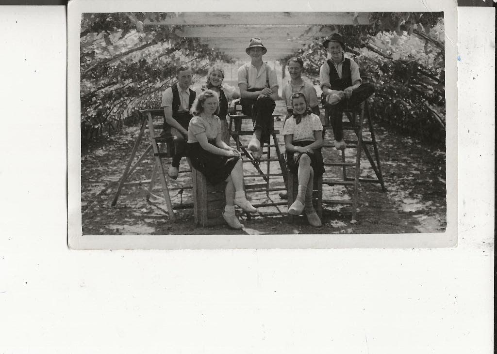 Wateringen Druivenkas  krenters op trap en kisten Fotokaart, Ophalen of Verzenden, 1920 tot 1940, Ongelopen, Zuid-Holland