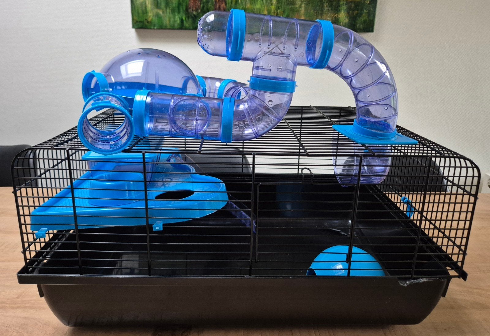 hamsterkooi met veel attributen., Minder dan 60 cm, Kooi, Gebruikt, Minder dan 75 cm