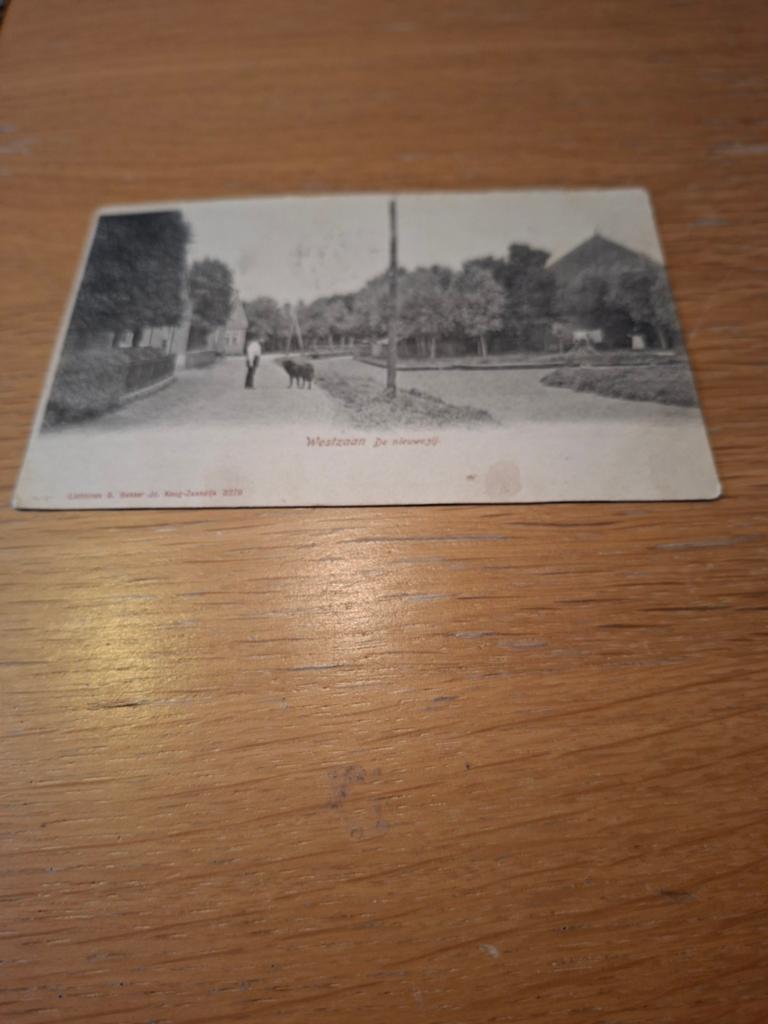 Westzaan De Nieuwendijk met persoon en hond, Ophalen of Verzenden, Voor 1920, Gelopen, Noord-Holland
