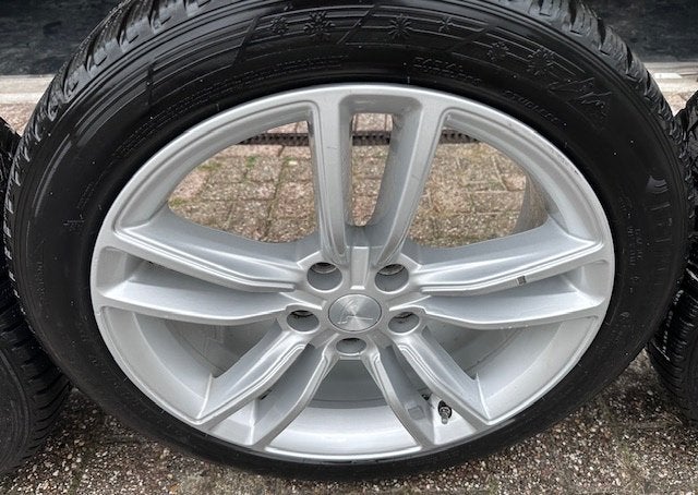 Tesla winterbanden met velg, Banden en Velgen, Winterbanden, Personenwagen, Ophalen