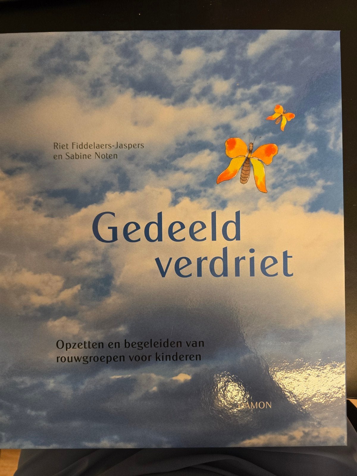 Gedeeld verdriet: Rouwgroepen voor kinderen, Ophalen of Verzenden, Zo goed als nieuw, Riet Fiddelaers-Jaspers en Sabine Noten