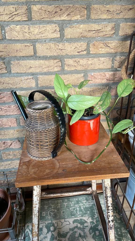 Vintage jaren 70 Emsa gieter., Ophalen of Verzenden, Gebruikt