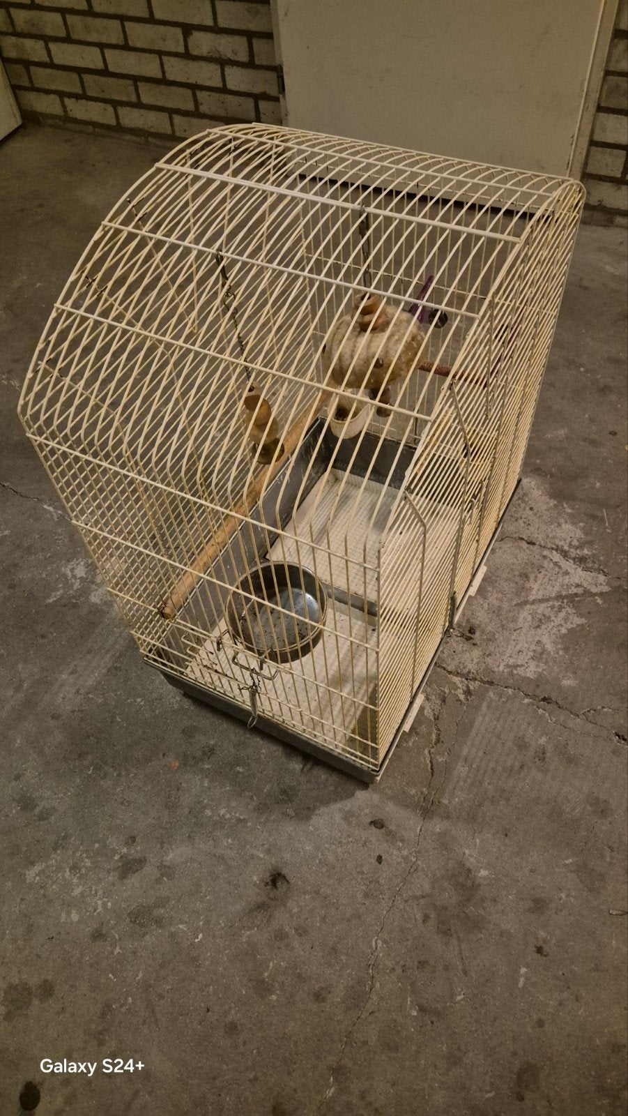mooi vogelkooi, Ophalen of Verzenden, Zo goed als nieuw, Metaal, Vogelkooi
