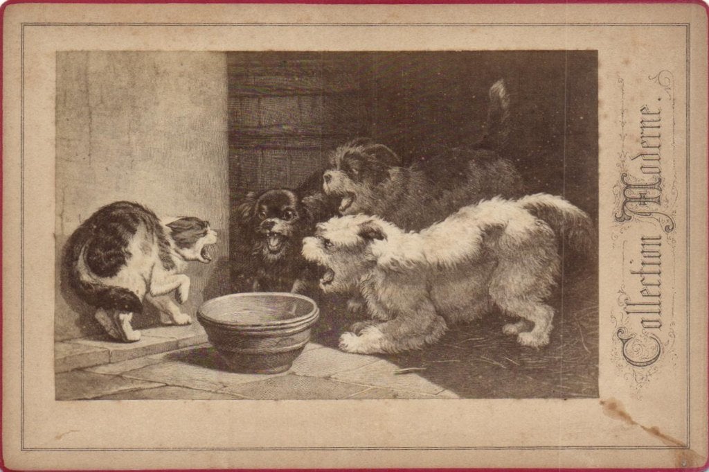 Kabinet Foto - Drie tegen een - H. Ronner -Knip - Ned/ Bel, Gebruikt, Foto, Ophalen of Verzenden, Voor 1940