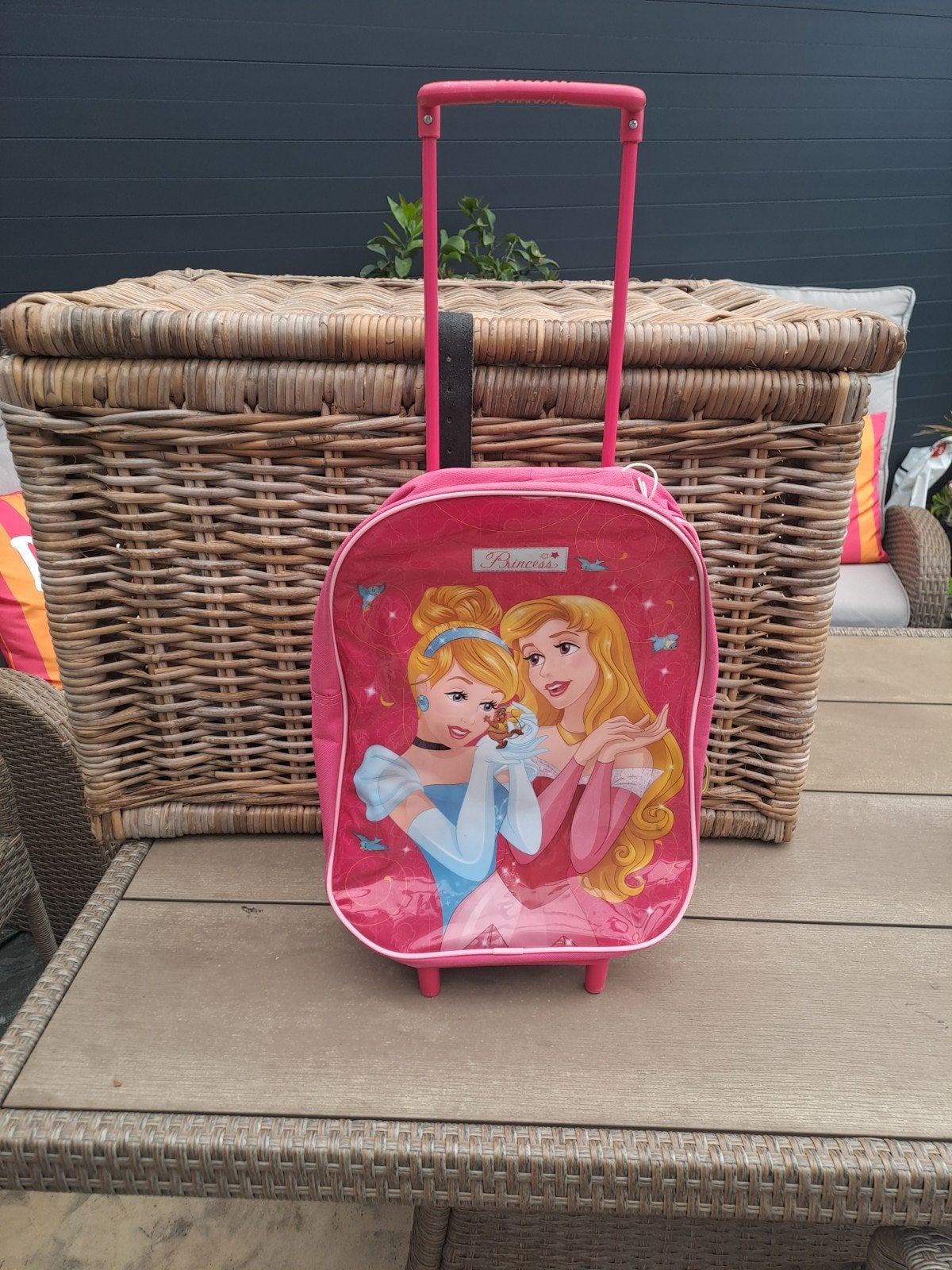 Disney Princess trolley voor kinderen, Ophalen of Verzenden, Gebruikt