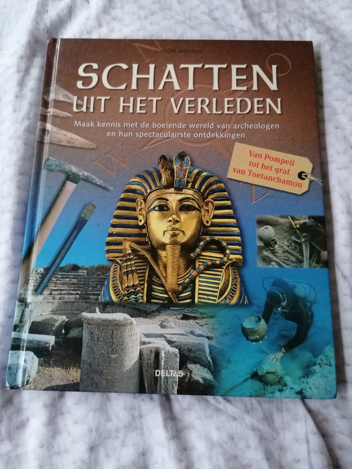 Schatten uit het Verleden - Archeologie Boek, Boeken, Geschiedenis | Vaderland, Ophalen of Verzenden, 20e eeuw of later, Gelezen