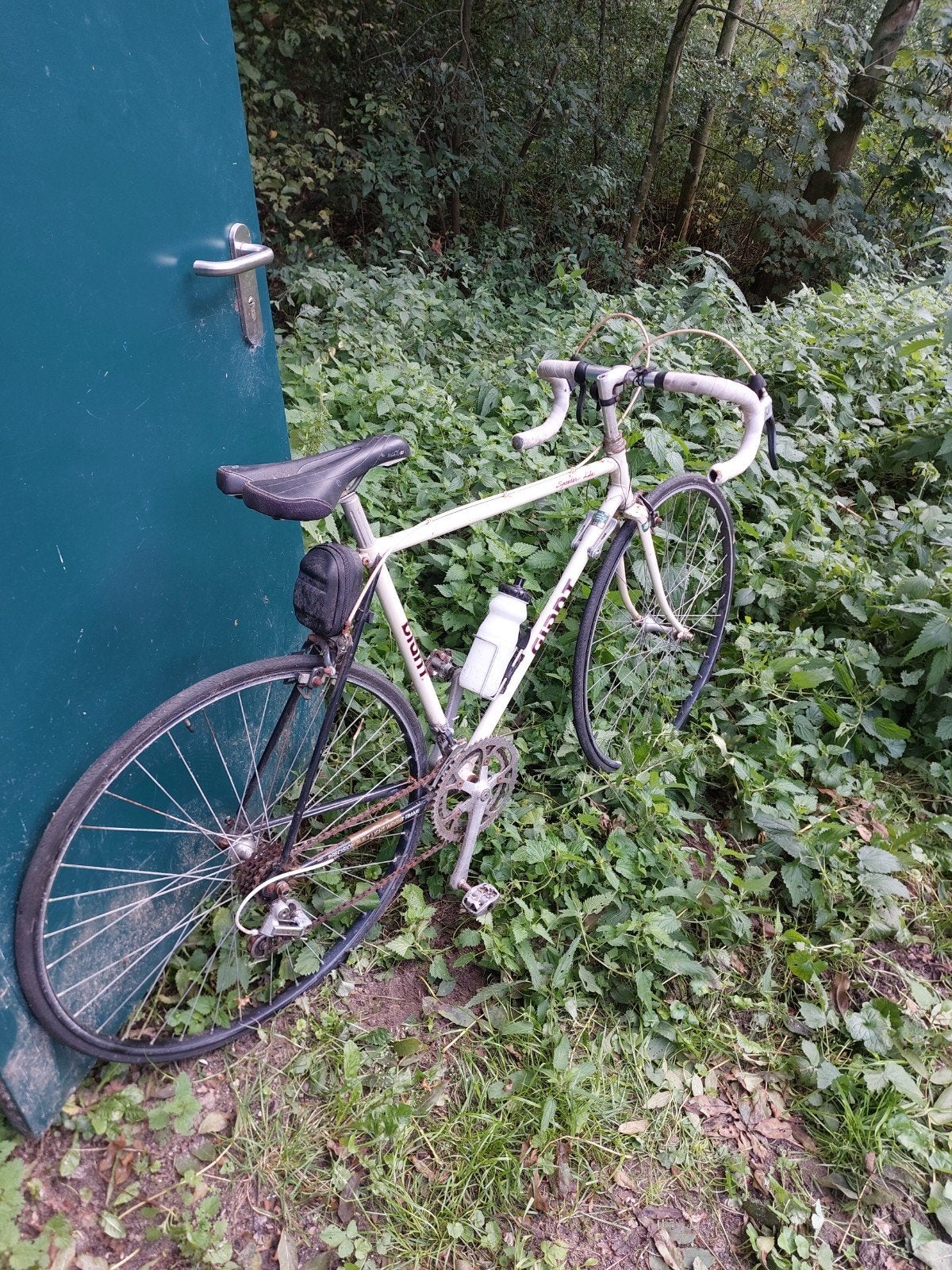 div fietsen dames/ heren/race/elektrisch, Ophalen, Minder dan 10 versnellingen, Overige merken