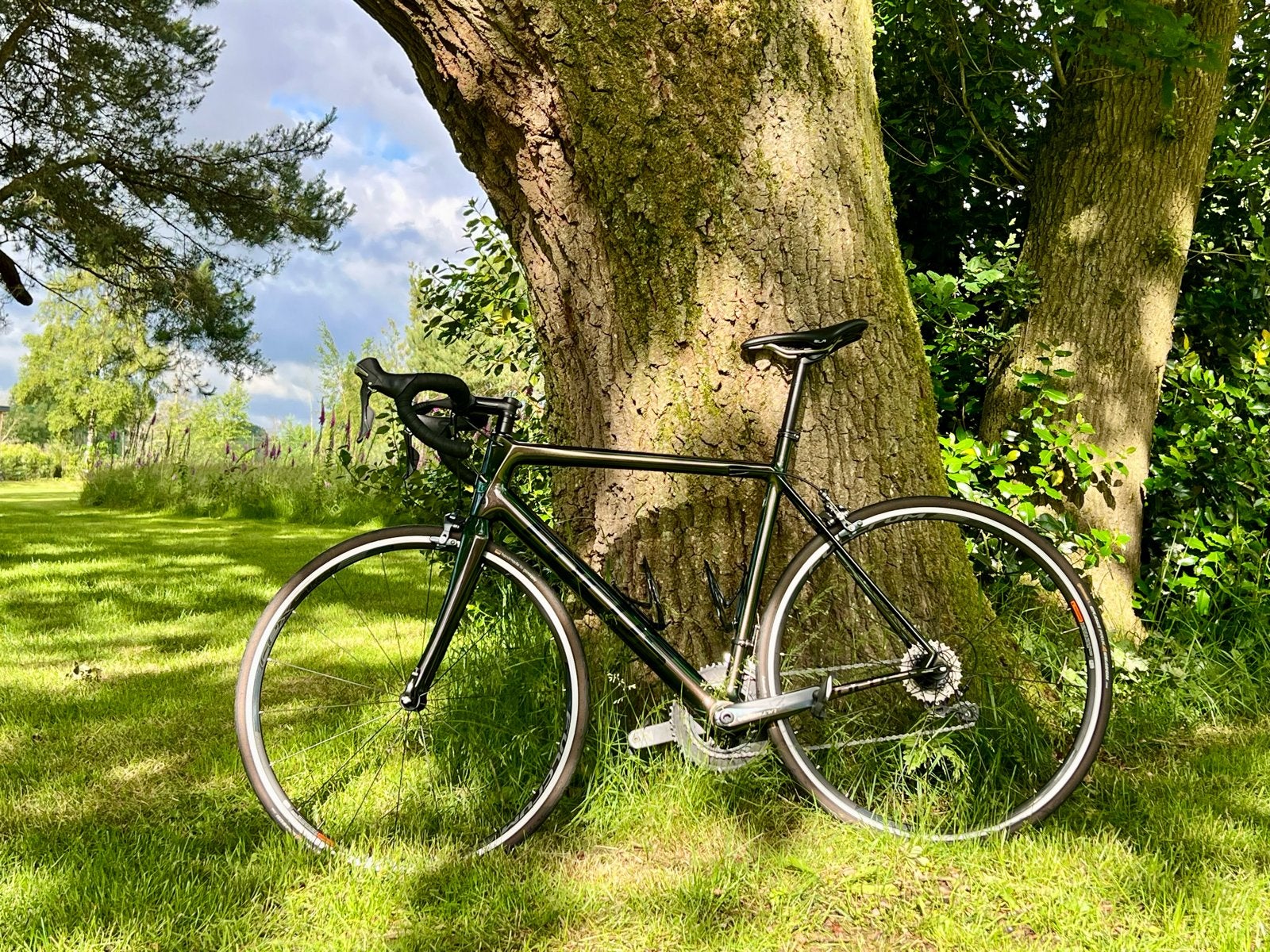 Focus Cayo Full Carbon Racefiets - Ultegra 11-speed - Dragon, Fietsen en Brommers, Fietsen | Racefietsen, Carbon, 10 tot 15 versnellingen