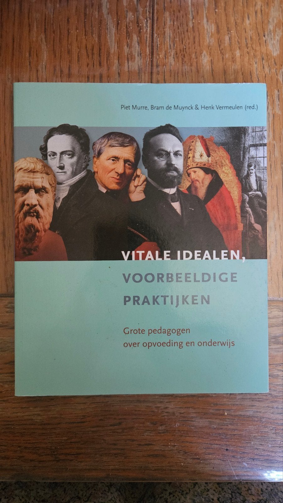 Vitale idealen, voorbeeldige praktijken, Boeken, Diverse auteurs, Zo goed als nieuw, Beta, HBO