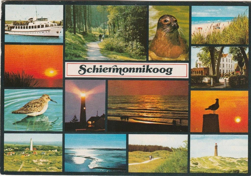 SCHIERMONNIKOOG Veerboot Panorama Zeehond, Verzenden, 1980 tot heden, Gelopen, Waddeneilanden