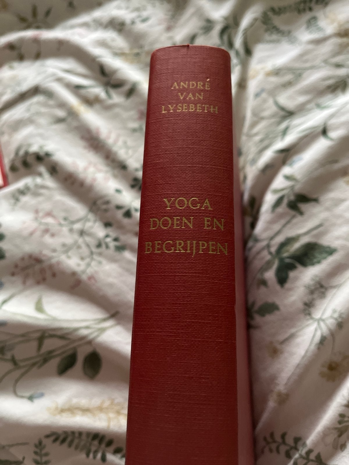 Yoga Doen en Begrijpen - André Van Lysebeth, Boeken, Ophalen of Verzenden, Gelezen, Meditatie of Yoga, Instructieboek