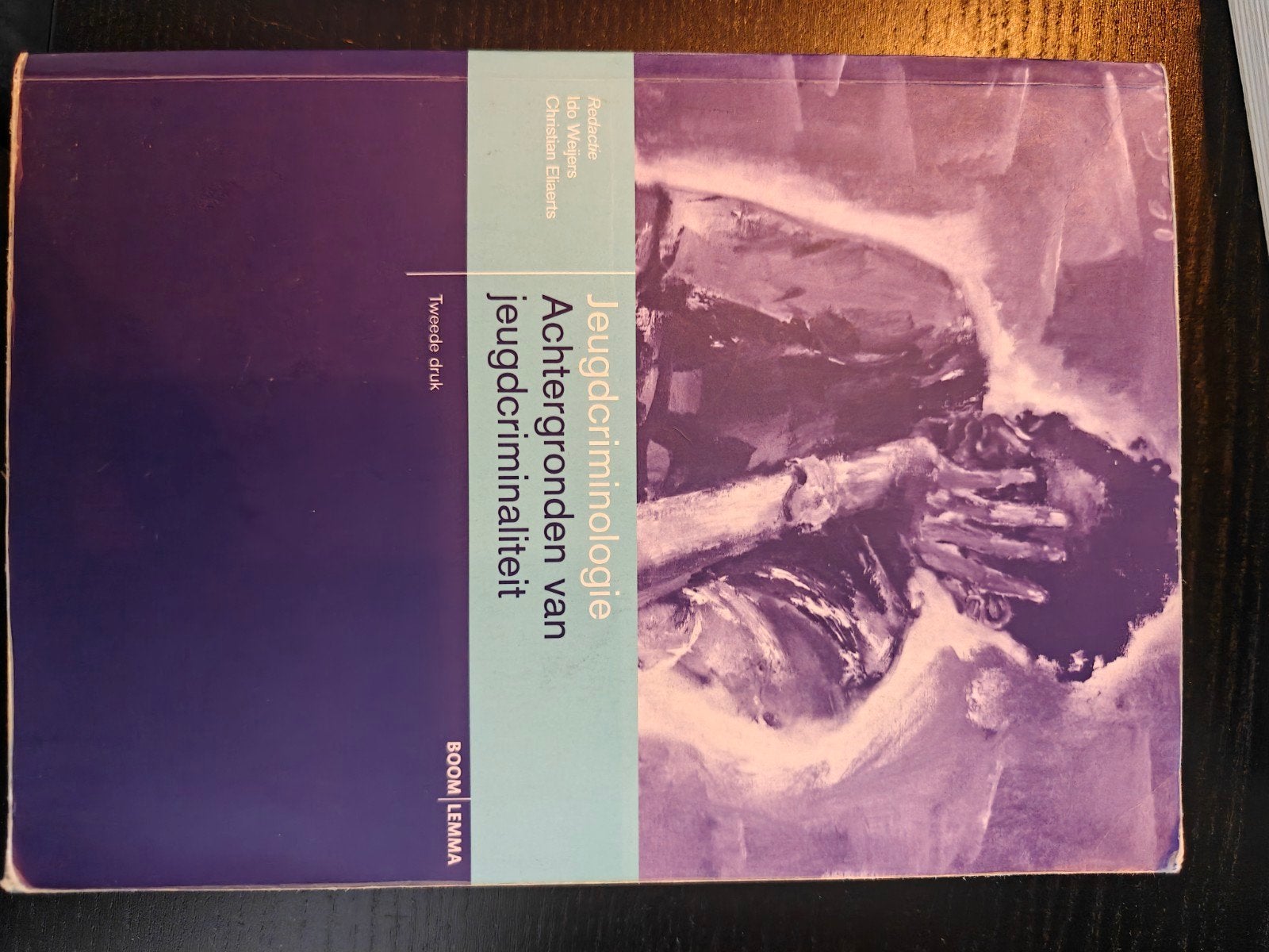 Jeugdcriminologie: Achtergronden van jeugdcriminaliteit, Gelezen, J.W. de Keijser, Christian E. Elshout, Gamma, HBO