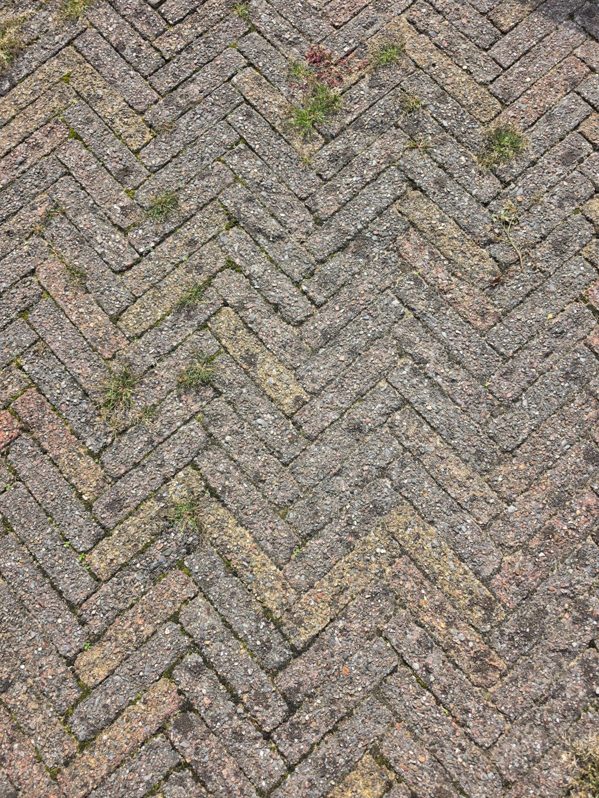 Gebruikte Klinkers, waaltjes -zo'n 55 m2, Divers, Ophalen, Gebruikt, Klinkers, 10 m² of meer
